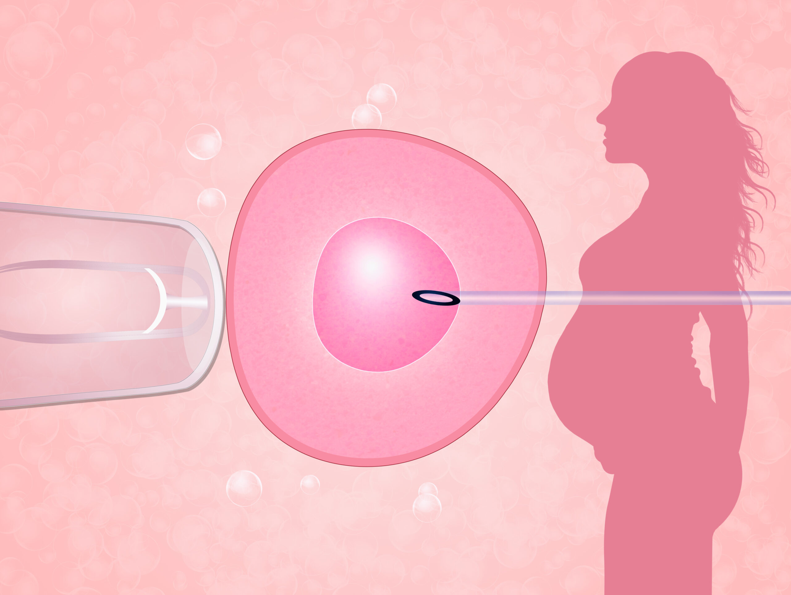 In vitro – co warto wiedzieć o zapłodnieniu pozaustrojowym?